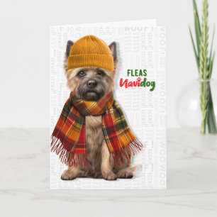 Pour Fêtes Annuelles Cartes de Noël de Cairn Terrier Chien Drôle Puces