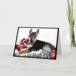 Pour Fêtes Annuelles Cartes de Noël de chien berger allemand