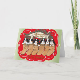 Pour Fêtes Annuelles Cartes de Noël de chien de montagne de Bernese