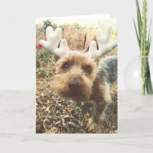 Pour Fêtes Annuelles Cartes de Noël de Cooper