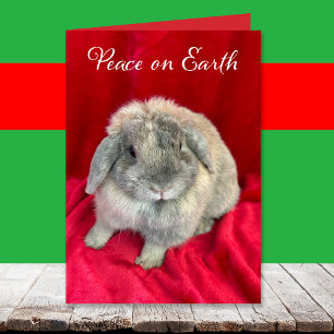 Pour Fêtes Annuelles Cartes de Noël de lapin mignon