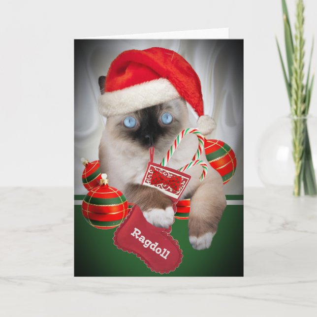 Pour Fêtes Annuelles Cartes de Noël de Ragdoll (Devant)