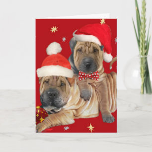 Pour Fêtes Annuelles Cartes de Noël des frères Shar-pei
