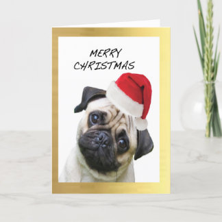 Pour Fêtes Annuelles Cartes de Noël design "mignonne Carlin"