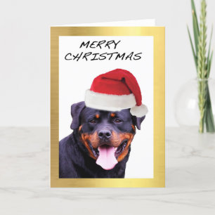 Pour Fêtes Annuelles Cartes de Noël design "Rottweiler"