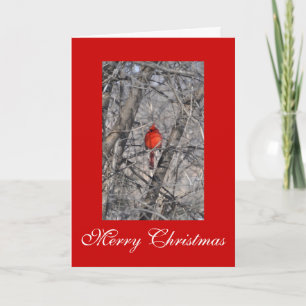Pour Fêtes Annuelles Cartes de Noël du cardinal Janz
