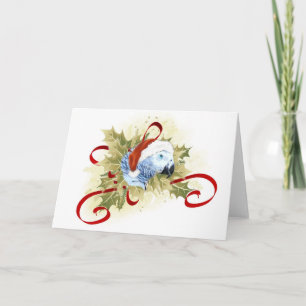 Pour Fêtes Annuelles Cartes de Noël du perroquet gris d'Afrique