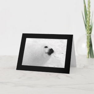 Pour Fêtes Annuelles Cartes de Noël en noir blanc Vacances Noir Blanc