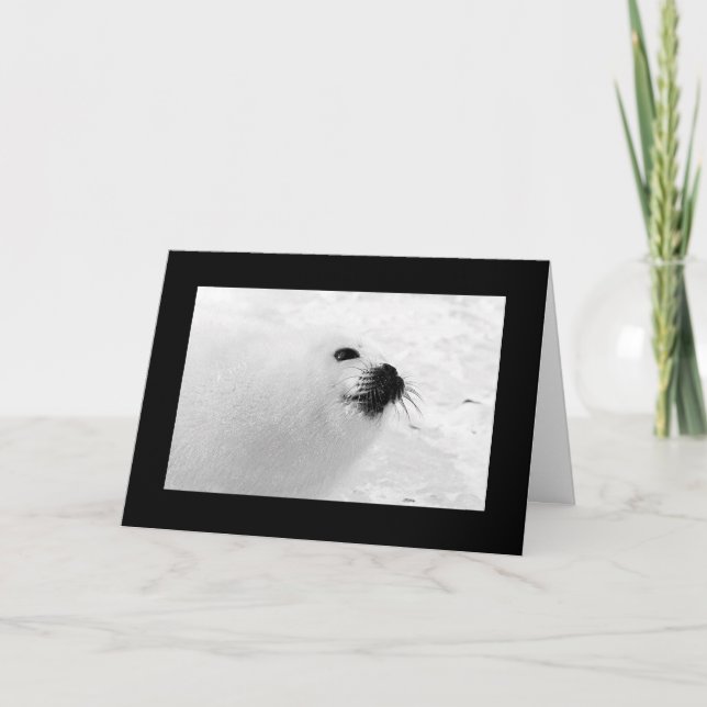 Pour Fêtes Annuelles Cartes de Noël en noir blanc | Vacances Noir Blanc (Devant)