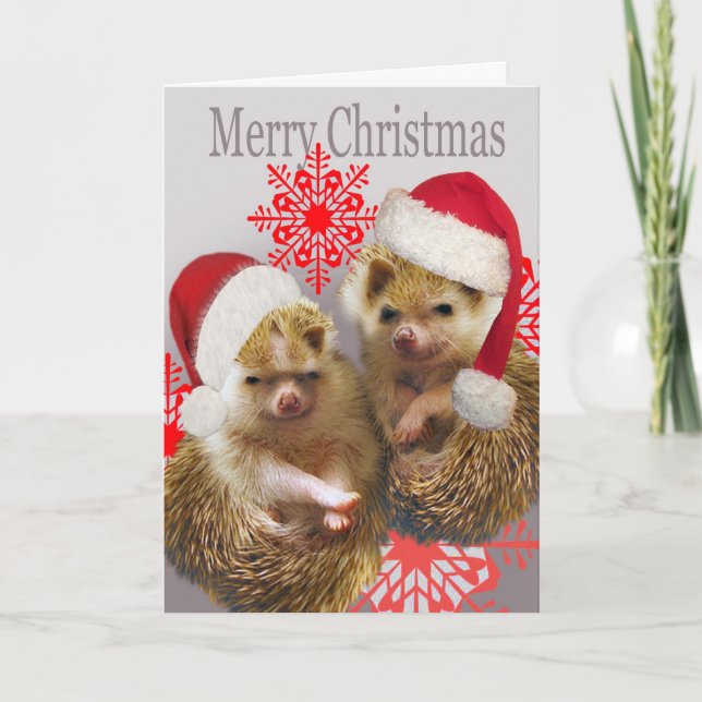 Pour Fêtes Annuelles Cartes de Noël Joyeuses de Hérisson (Devant)
