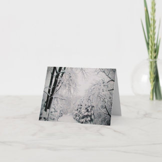 POUR FÊTES ANNUELLES CARTES DE NOËL, SCÈNE D'HIVER, CARTES DE FIN DE AN