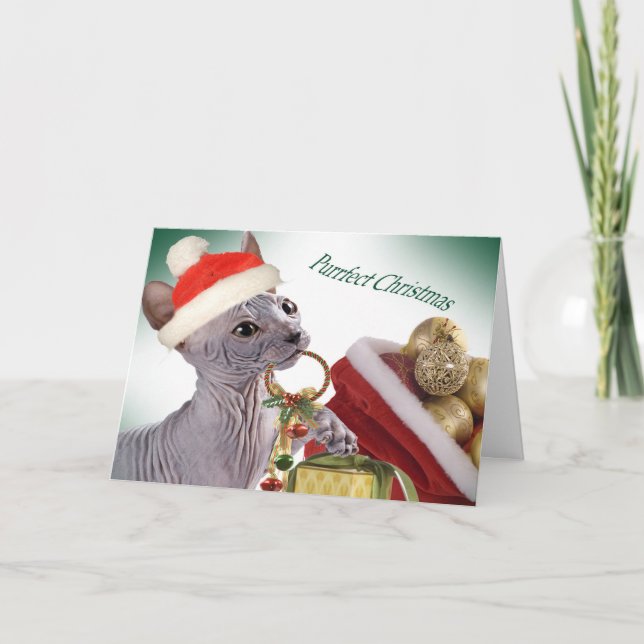 Pour Fêtes Annuelles Cartes de Noël Sphynx sans cheveux (Devant)