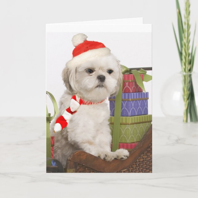 Pour Fêtes Annuelles Cartes de Noël Westin (Devant)