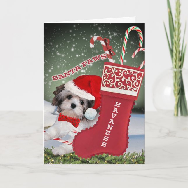 Pour Fêtes Annuelles Cartes de pattes de Havanese Père Noël (Devant)
