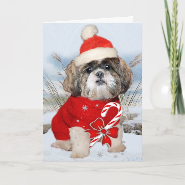 Pour Fêtes Annuelles Cartes de pattes de Shih Tzu Père Noël (Devant)