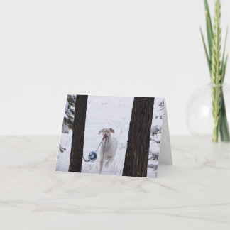 Pour Fêtes Annuelles Cartes de vacances