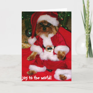 Pour Fêtes Annuelles Cartes de voeux