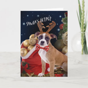 Pour Fêtes Annuelles Cartes de voeux Boxer Père Noël Helper