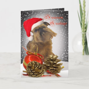 Pour Fêtes Annuelles Cartes de voeux de la saison du Griffon de Bruxell