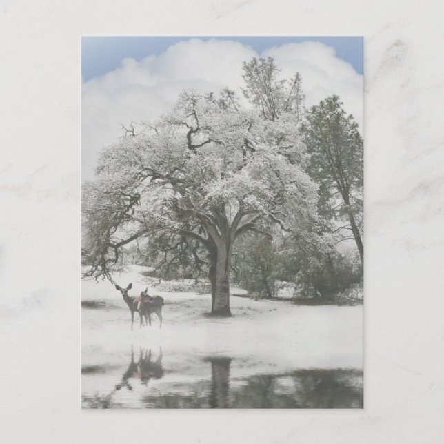 Pour Fêtes Annuelles Cartes de voeux de Noël avec cerf dans la neige (Devant)