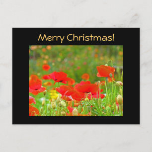 Pour Fêtes Annuelles Cartes de vœux de Noël Coquelicots Prairie