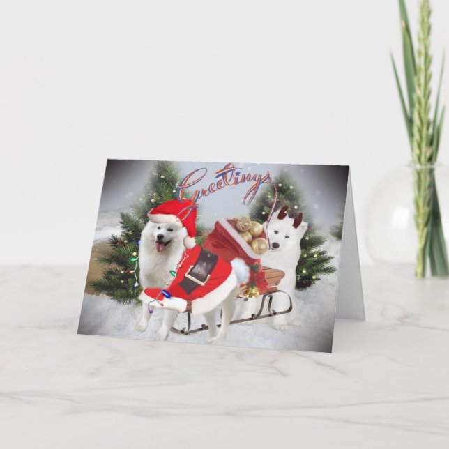Pour Fêtes Annuelles Cartes de voeux de Noël de Samoyed (Devant)