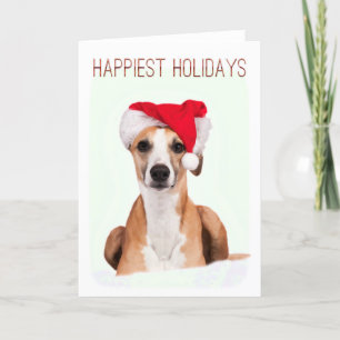 Pour Fêtes Annuelles Cartes de voeux de Noël Whippet
