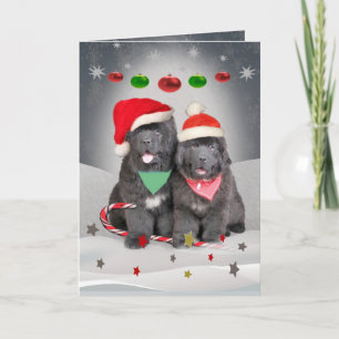 Pour Fêtes Annuelles Cartes de voeux de saison de chiots de Terre-Neuve