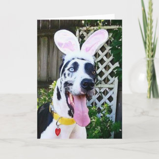Pour Fêtes Annuelles Cartes de voeux par le bouteur que la thérapie