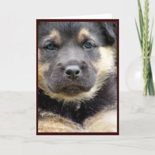Pour Fêtes Annuelles Cartes de voeux Wise Pup