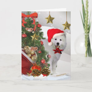 Pour Fêtes Annuelles Cartes esquimaudes américaines d'étoile de Noël