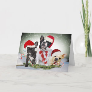 Pour Fêtes Annuelles Cartes French Bulldog Qu'il neige