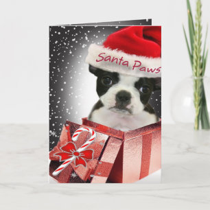 Pour Fêtes Annuelles Cartes Père Noël de Boston Terrier