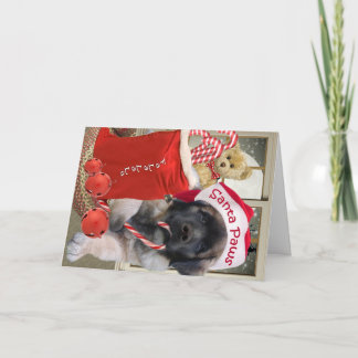 Pour Fêtes Annuelles Cartes Père Noël de Leonberger
