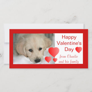 Pour Fêtes Annuelles Cartes photos de chiens Heureuses Saintes-Valentin