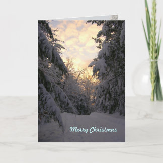 Pour Fêtes Annuelles Chaleureux voeux Noël Snowfall Cartes