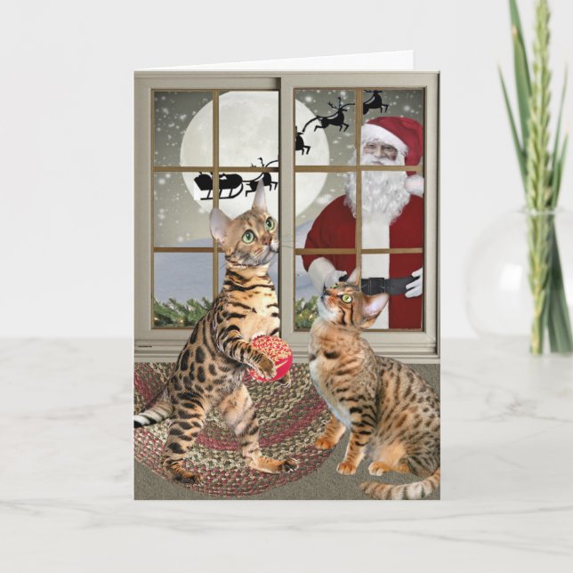Pour Fêtes Annuelles Chat du Bengale observant des cartes de Père Noël (Devant)