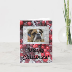 Pour Fêtes Annuelles Chien anglais Joyeuses cartes de Noël, mignonnes !