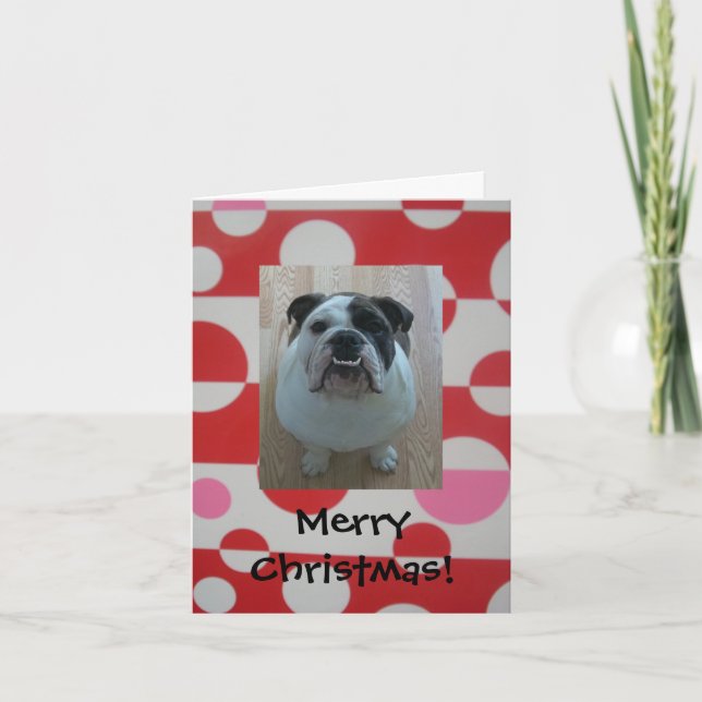 Pour Fêtes Annuelles Chien anglais joyeux cartes de Noël (Devant)