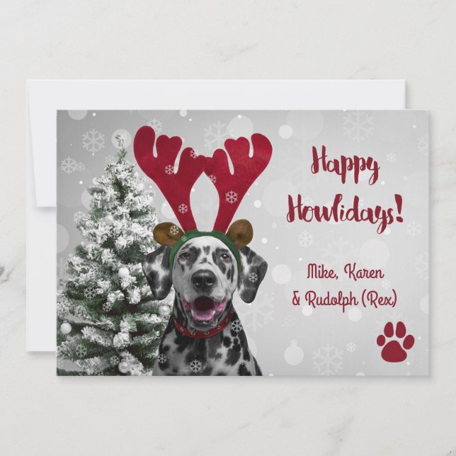 Pour Fêtes Annuelles Chien Animal de compagnie drôle Joyeux Noël Cartes (Devant)