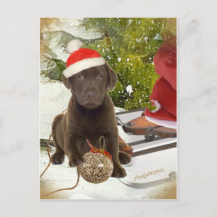 Pour Fêtes Annuelles Chocolat Lab aime les cartes de Noël