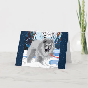 Pour Fêtes Annuelles DE L'AUTRE CÔTÉ DE LA RIVIÈRE Cartes artistiques d