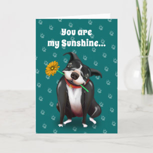 Pour Fêtes Annuelles Des cartes de voeux de Valentine de chien vous