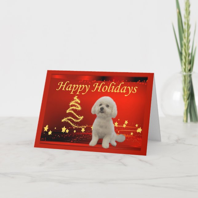 Pour Fêtes Annuelles Étoiles de cartes de Noël Bichon Frise (Devant)