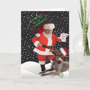 Pour Fêtes Annuelles Great Dane n'a pas compris les bonnes cartes
