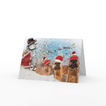 Joie de griffon de Bruxelles aux cartes du monde