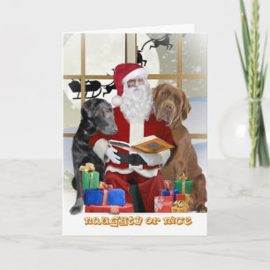 Pour Fêtes Annuelles Labrador Retrivers Cartes Vilaines Ou Belles