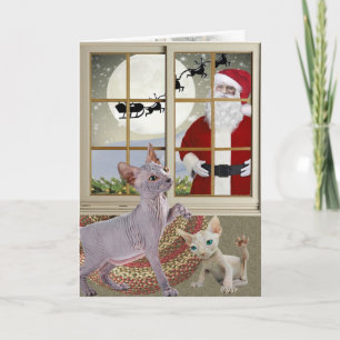 Pour Fêtes Annuelles Le chaton de Sphynx croient aux cartes de Père