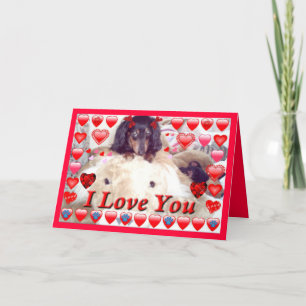 POUR FÊTES ANNUELLES LIBERTY CHIEN STORE DACHSHUND VALENTINE CARTES - C