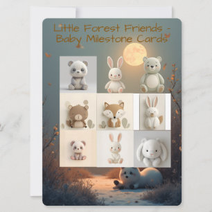 Pour Fêtes Annuelles Little Forest Friends Cartes de jalons bébé – Comp